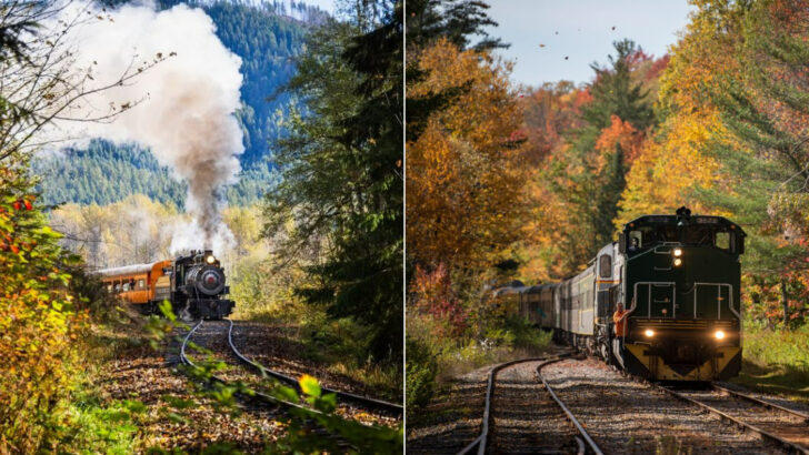 9 Family-Friendly Halloween Train Rides Worth the Ticket