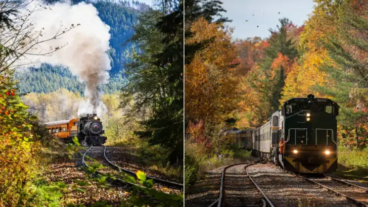 9 Family-Friendly Halloween Train Rides Worth the Ticket