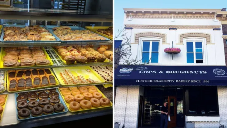 9 Michigan Donut Shops That Locals Say Make Autumn Worth Waiting For