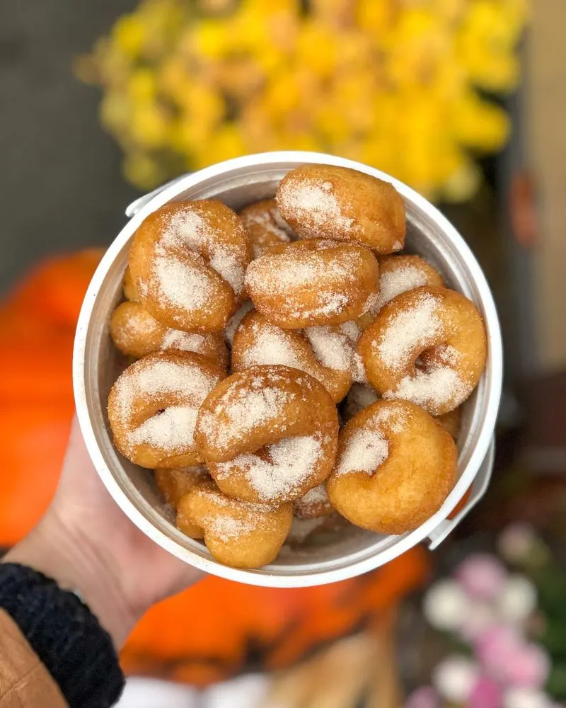 Pumpkin Donuts – Circleville Pumpkin Show