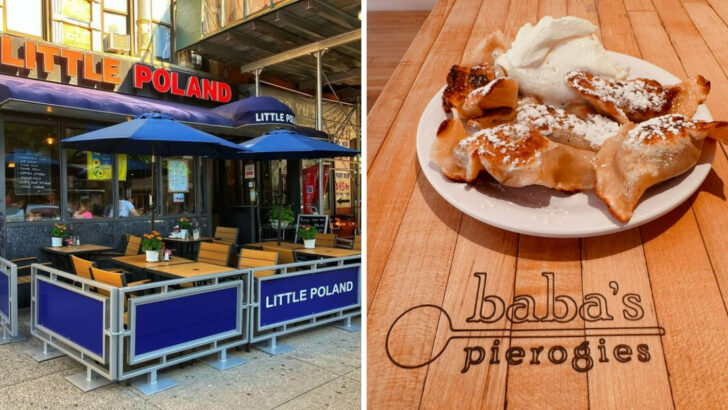 9 Polish Delis in New York That Feel Like Stepping Into Warsaw