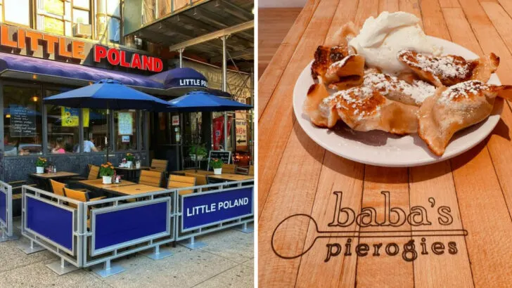 9 Polish Delis in New York That Feel Like Stepping Into Warsaw