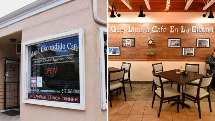 9 Puerto Rican Cafes in Massachusetts Where Every Bite Feels Familiar