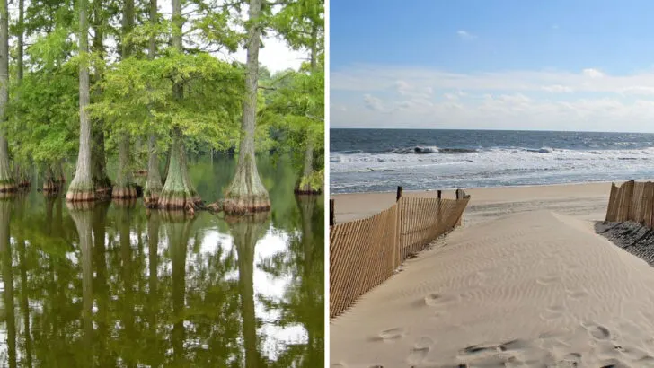9 Underrated Delaware State Parks That Deserve a Second Look