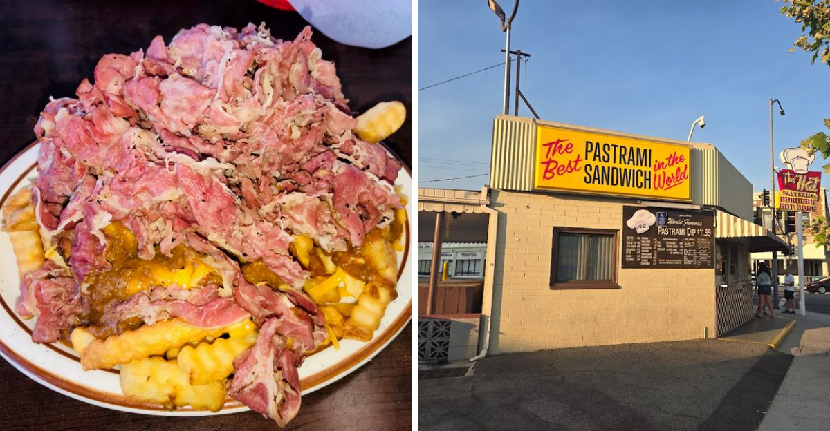 9-california-delis-serving-pastrami-chili-cheese-fries-worth-every-calorie