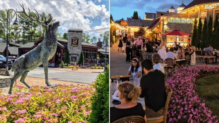 A Charming North Carolina Town That Feels Made for Fall (Just a Short Drive From Asheville) (Banner Elk, NC)