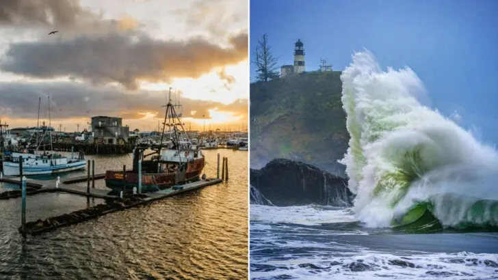 A Family Road Trip Along the Washington Coast With 14 Unforgettable Stops