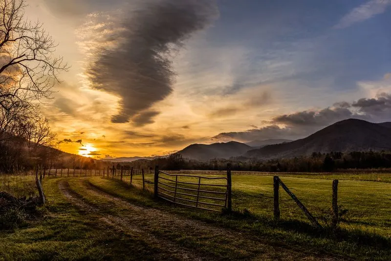 Peaceful Proximity to Cades Cove