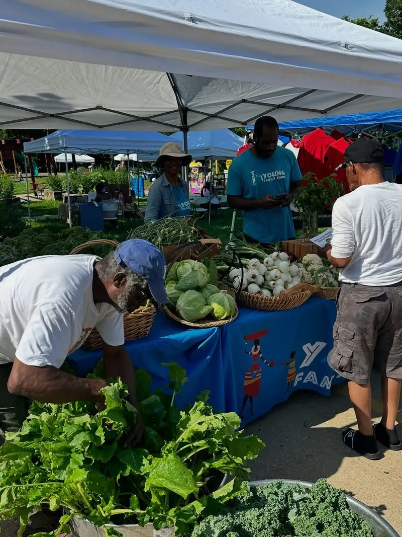Farmers Markets: Freshness at Its Best