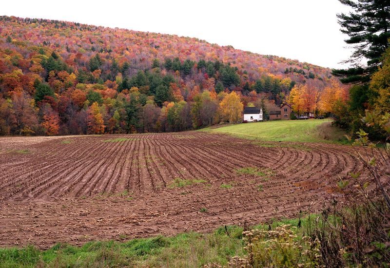Catskills, New York