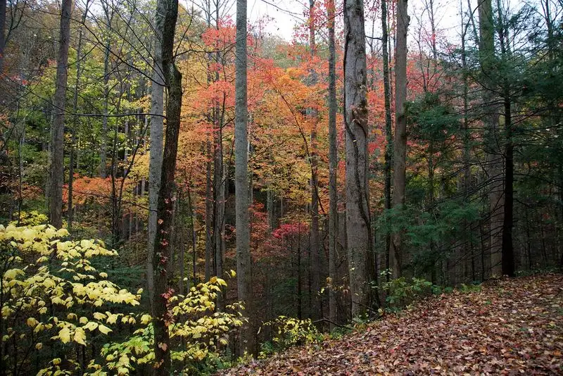 Great Smoky Mountains, Tennessee/North Carolina
