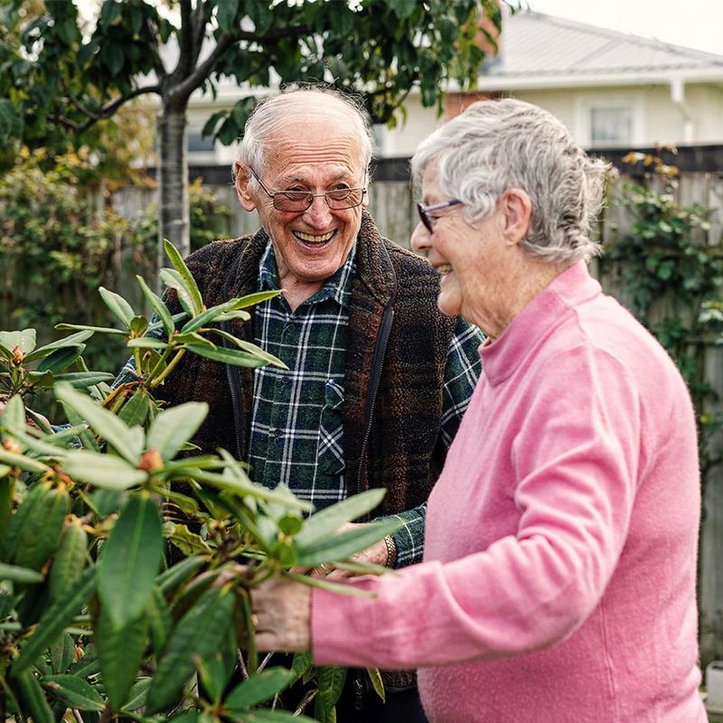 Gardening Workshops