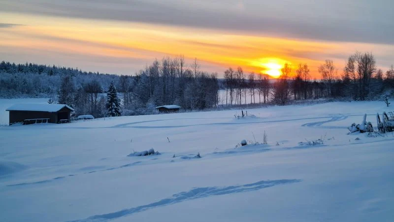 Winter Wonderland in Lapland