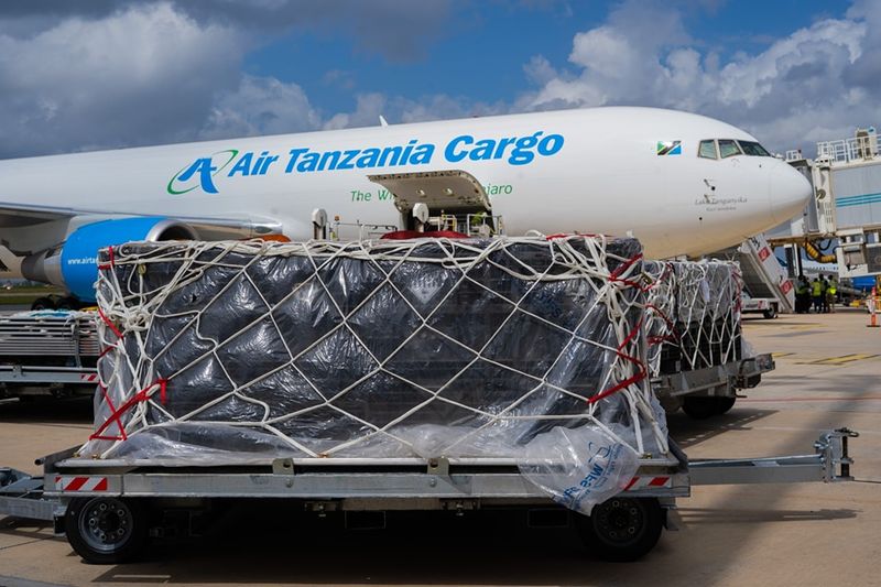 Cargo Holds on Many Passenger Jets Are Pressurized and Temperature-Controlled