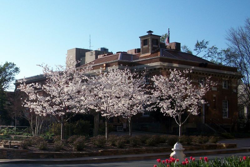 Fayetteville, Arkansas