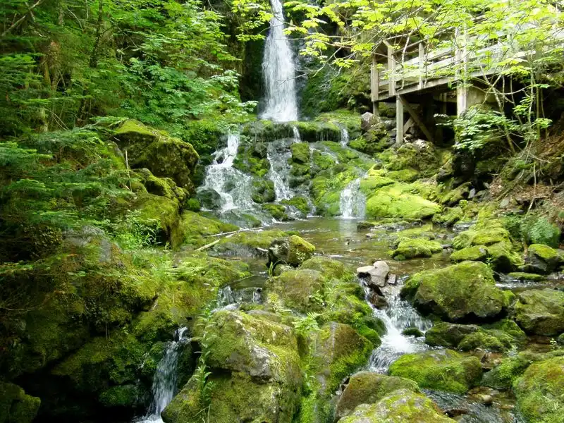 Fundy National Park, New Brunswick