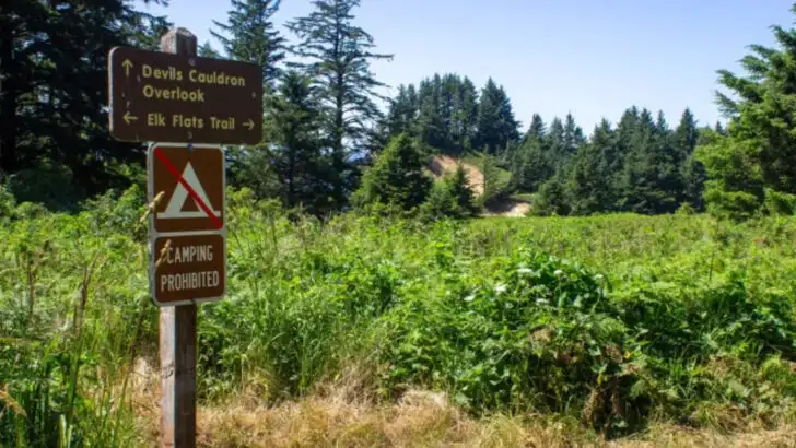 Along Oregon’s Coast Lies a State Park Known for Its Peaceful Forest and Hidden Shore
