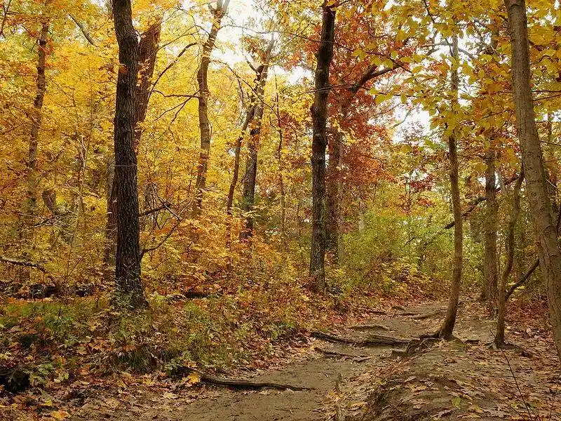 Starved Rock State Park