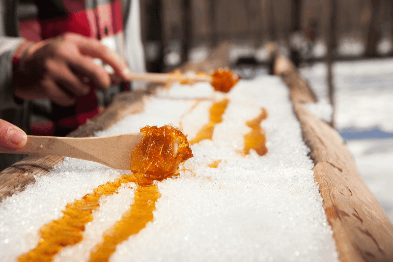 Maple Syrup Routes in Minnesota