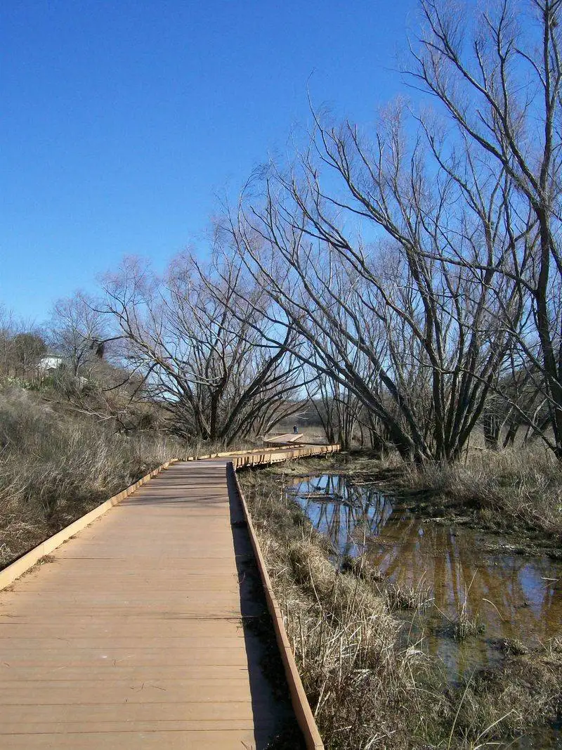 Salado Creek & the Greenway