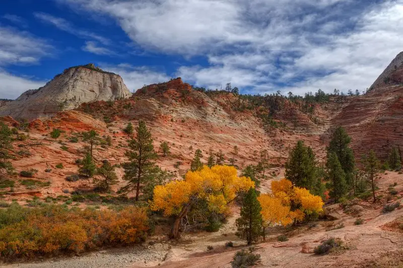 Zion National Park
