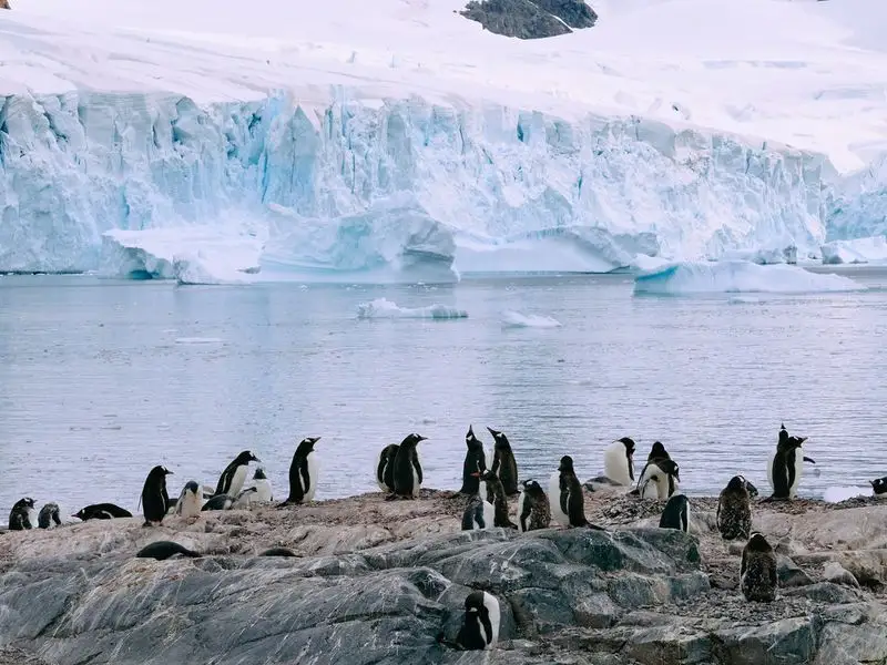 Antarctica