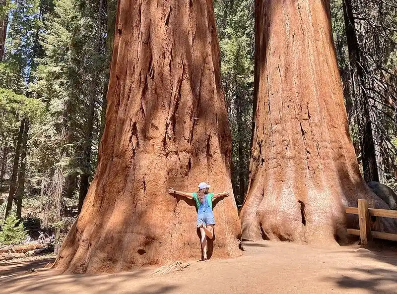 California