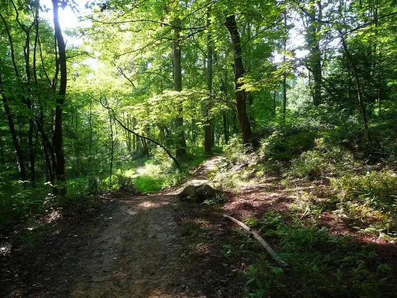 Bracken Mountain Preserve
