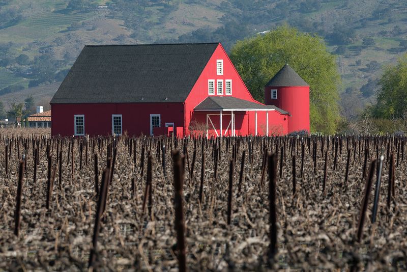 Napa Valley, California – Beyond Just Wine
