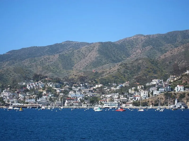 Santa Catalina Island, California