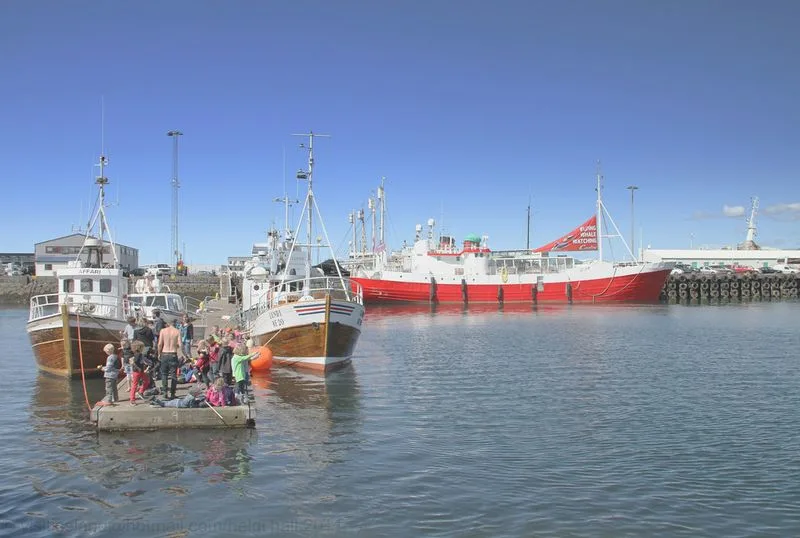 Whale Watching Adventure