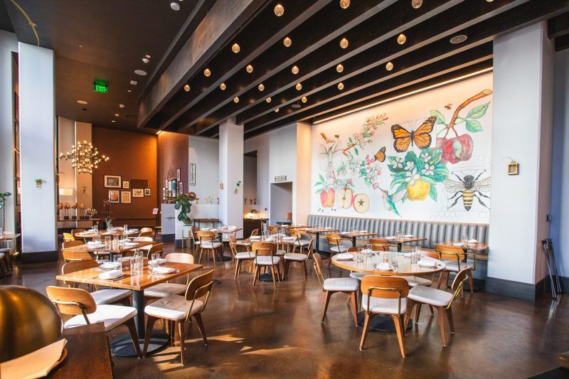 Apple Blossom – Denver, CO