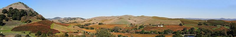 Napa Valley, California, USA