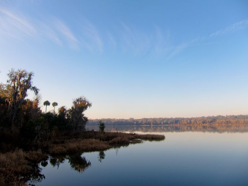 Paynes Prairie Preserve State Park