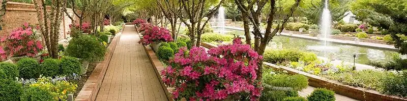 Clark Gardens Botanical Park