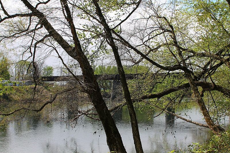 Why Milton State Park Resonates with Solitude Seekers