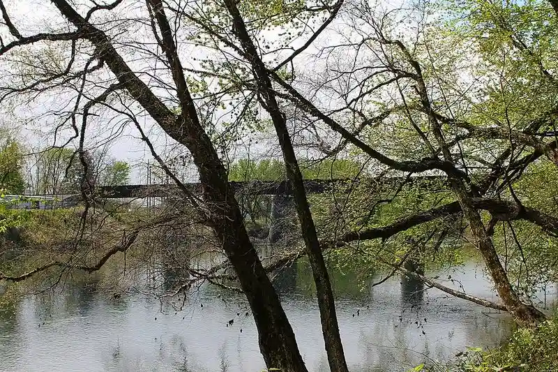 Why Milton State Park Resonates with Solitude Seekers