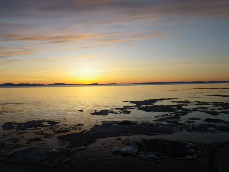 Midnight Sun