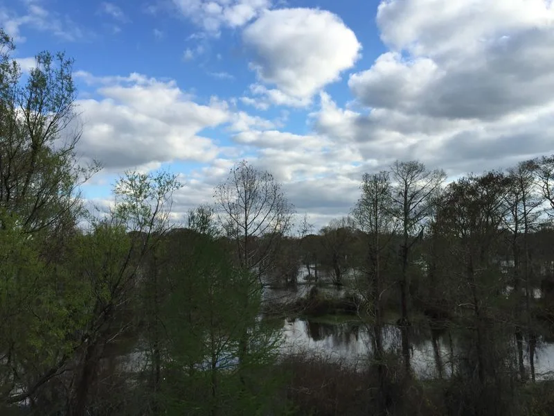 Atchafalaya Basin, Louisiana