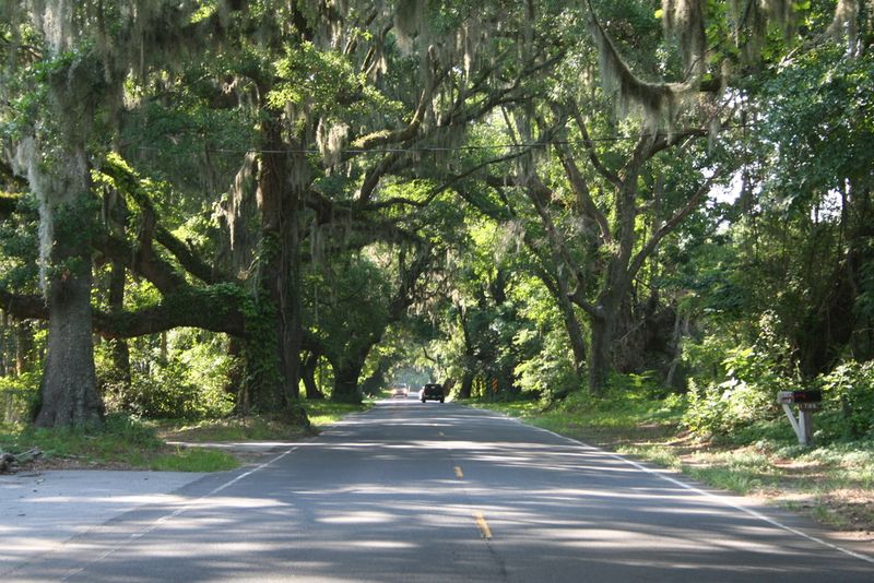 Edisto Island (Edisto Beach)