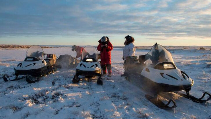 Before Heading North, Read These 12 Essential Alaska Travel Tips