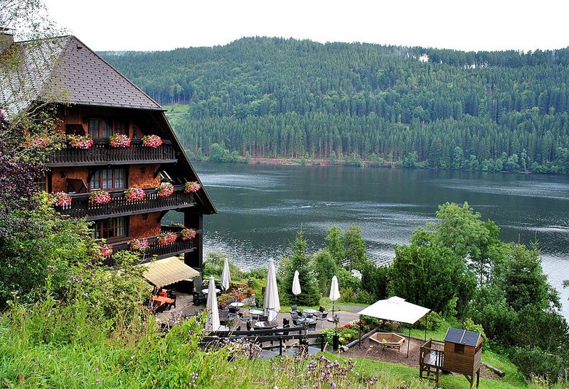 The Black Forest