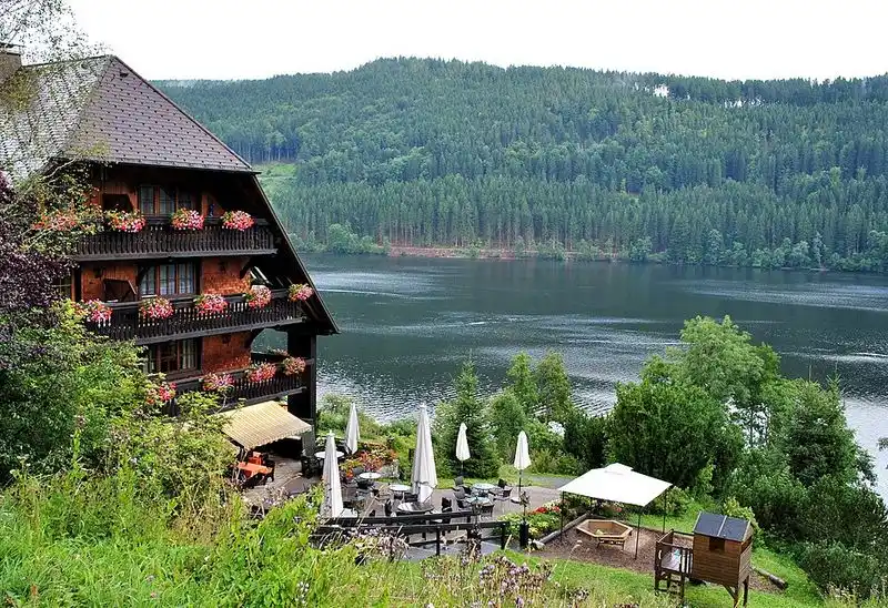 The Black Forest