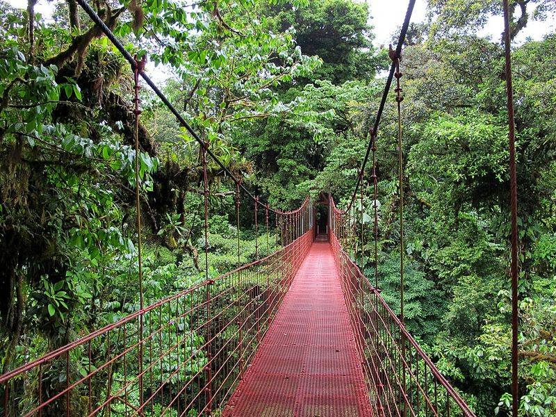 Monteverde Cloud Forest, Costa Rica