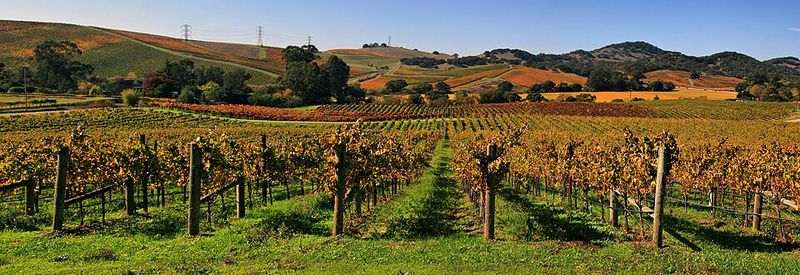 Napa, California