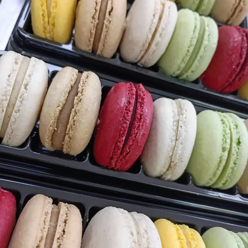 Magnol French Baking — Houston