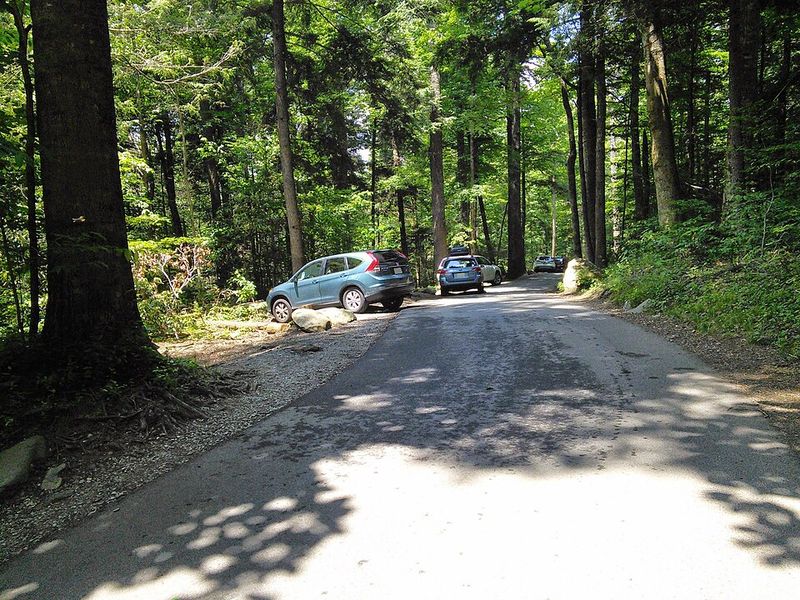 Roaring Fork Motor Nature Trail