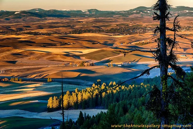 The Palouse, Washington