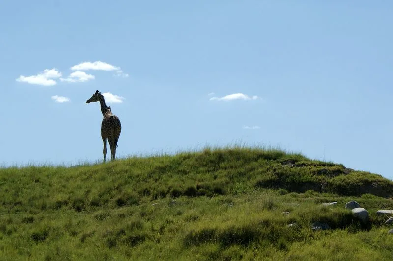 The Living Desert Zoo and Gardens
