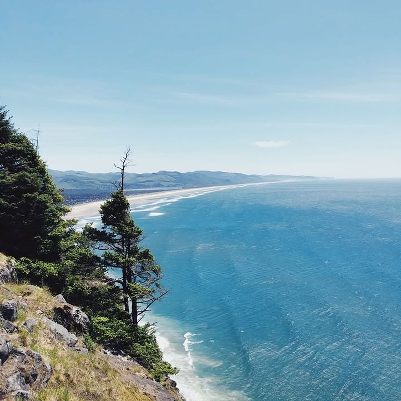 Manzanita